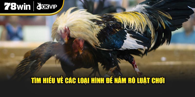 Tìm hiểu về các loại hình để nắm rõ luật chơi